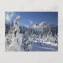 Suche nach alpin postkarten Winter