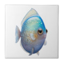 Suche nach blaue fische fliesen Weiß