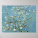 Suche nach van gogh mandelblüte poster Floral