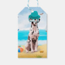 Suche nach hunde geschenkanhänger Jede person