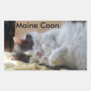 Suche nach schlafend aufkleber Katzen