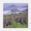 Suche nach lupine magnete Natur
