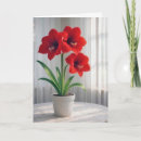 Suche nach amaryllis karten Rot