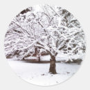 Suche nach schneebedeckte bäume aufkleber Baum