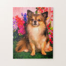 Suche nach chihuahua puzzle Niedlich