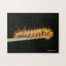 Suche nach raupe puzzle Schwarz