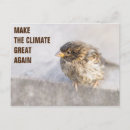 Suche nach klimawandel postkarten Tier