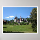 Suche nach pele Reise