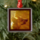 Suche nach deutscher schäferhund ornamente Polizeihund