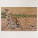 Suche nach gepard puzzle Safari