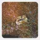 Suche nach seeanemone aufkleber Wild lebende tiere