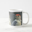 Suche nach specht tassen Vogel