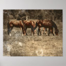 Suche nach braunes pferd poster Western