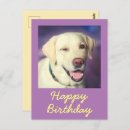 Suche nach labrador retriever geburtstag karten Für sie
