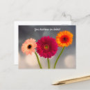Suche nach orange gänseblümchen karten Danke