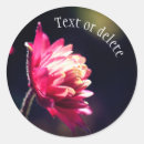 Suche nach rote sonne aufkleber Blume