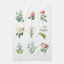 Suche nach botanische illustration geschirr tücher Illustrationen