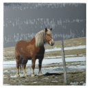 Suche nach ameisen fliesen Pferdezucht