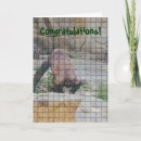 Suche nach ape karten Humorvoll