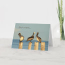 Suche nach pelikan karten Tierwelt