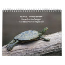 Suche nach schildkröten kalender Tierwelt