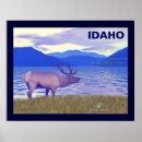 Suche nach elk kunst See