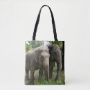 Suche nach elefant taschen Tierwelt
