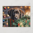 Suche nach schokolade labrador postkarten Weihnachten