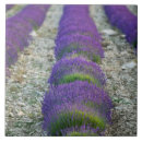 Suche nach lavendelfelder fliesen Provence