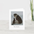 Suche nach best friends karten Katzen