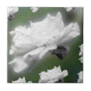 Suche nach umgestaltung fliesen Rose
