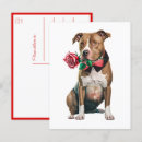 Suche nach pitbull hund postkarten Welpe