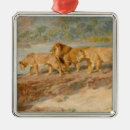 Suche nach afrikanische löwen ornamente Safari