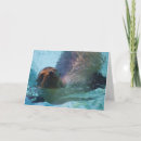 Suche nach meeressäugetier karten Tiere