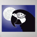 Suche nach papagei poster Vogel