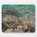 Suche nach unterwasser mousepads Ozean