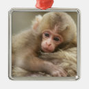 Suche nach monkey ornamente Tier