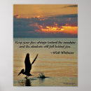 Suche nach florida vogel poster Ozean