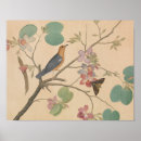 Suche nach drossel poster Blume