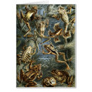 Suche nach toter baum karten Bäume