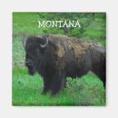 Suche nach montana magnete Bison