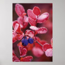 Suche nach gefroren poster Saison