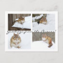 Suche nach schnee foto postkarten Winter
