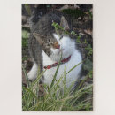 Suche nach graue katze puzzle Jede person