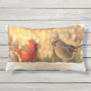 Suche nach kardinal kissen Singvögel