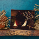 Suche nach wein fotoplatten Rot