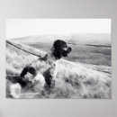 Suche nach cocker spaniel poster Englisch