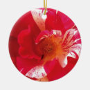 Suche nach gelegenheiten ornamente Blume