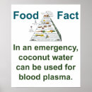 Suche nach kokosnüsse poster Wasser