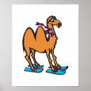 Suche nach lustige kamele poster Tiere